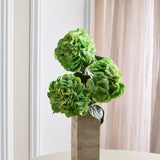 Voller Hortensienstrauß - Weiß