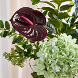 LIMITIERTE AUFLAGE: Pop of Bordeaux 