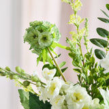 LIMITIERTE AUFLAGE: Goldener Matcha 