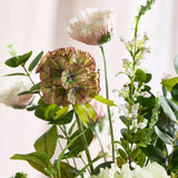 LIMITIERTE AUFLAGE: Signatur