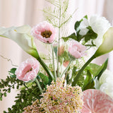 LIMITED EDITION: Sweet Meringue 🍦