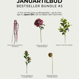 BESTSELLER BUNDLE #3