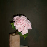 Hydrangea Flower - Pink