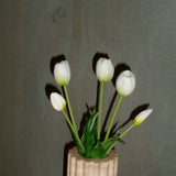 Mini Tulip Bouquet - White