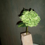 Hydrangea Flower - Green