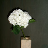 Hydrangea Flower - White