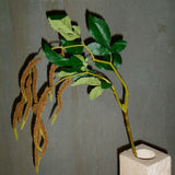 Amaranthus 2 Branches Foliage - Coffee