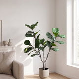 Lifelike Artificial Fiddle Leaf Fig (150 cm)