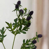 Distelblume – Lila