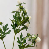 Distelblume – Weiß