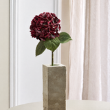 Luksus Hortensia - Dyb Bordeaux