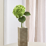Luksus Hortensia - Grøn