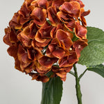 Luksus Hortensia - Kobber close-up
