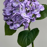 Luksus Hortensia - Lavendel close-up