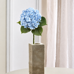 Luksus Hortensia - Lyseblå