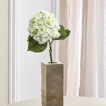Luksus Hortensia - Lysegrøn