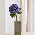 Luksus Hortensia - Violet