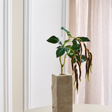 Amaranthus 2 Branches Foleage - Bordeaux